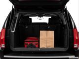  Trunk props photo